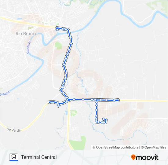 113 JACARANDÁ Bus Line Map