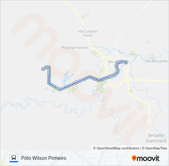 382 PÓLO WILSON PINHEIRO Bus Line Map