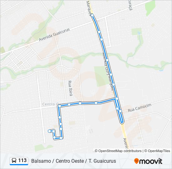 113 bus Line Map