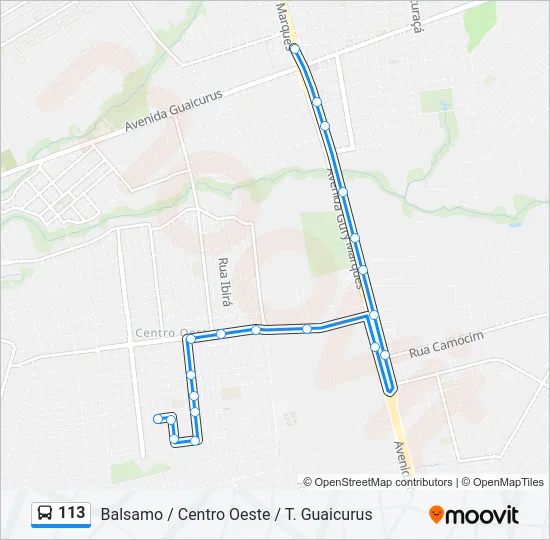 113 Bus Line Map