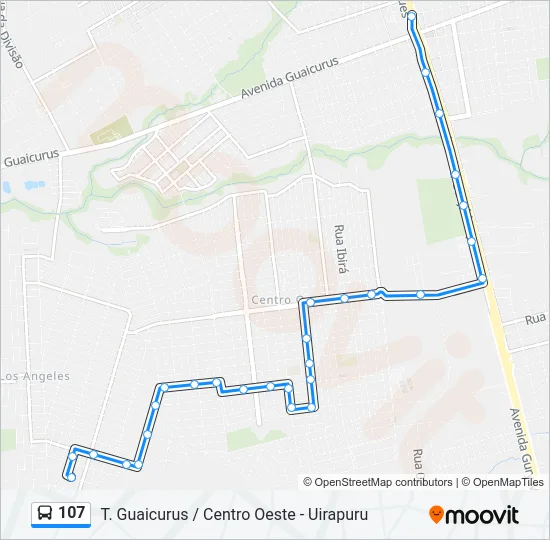 107 Bus Line Map