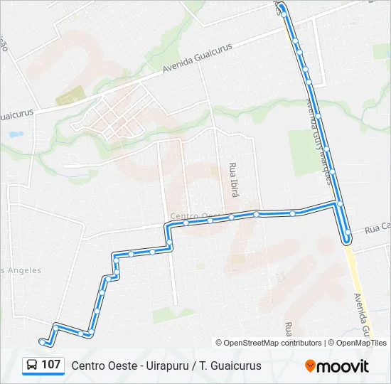 107 Bus Line Map