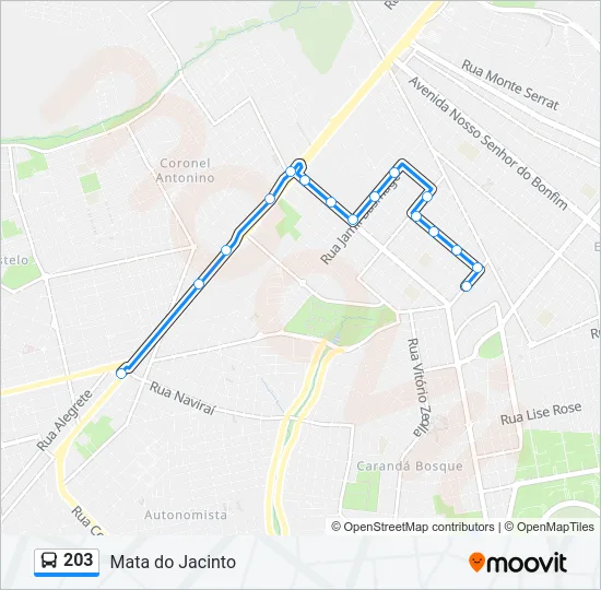 203 Bus Line Map