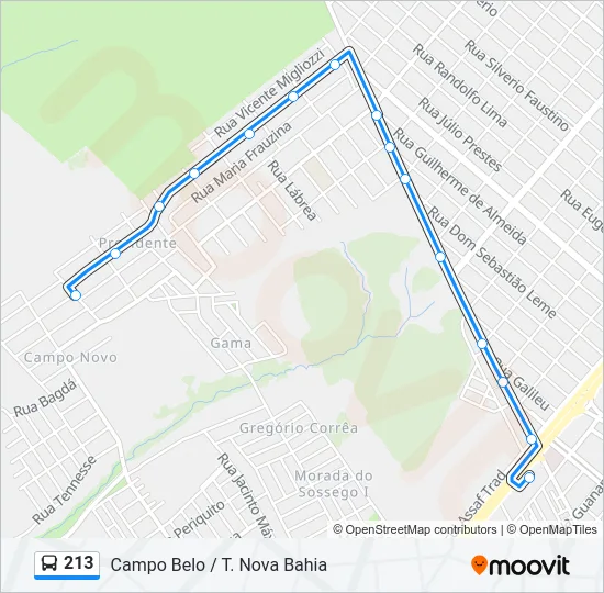 213 Bus Line Map