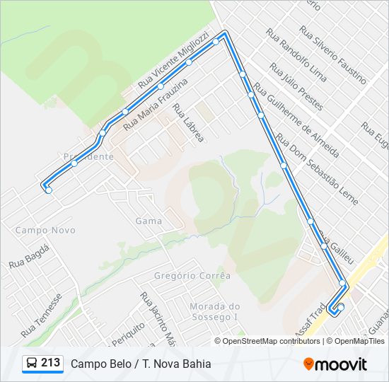 Mapa da linha 213 de ônibus