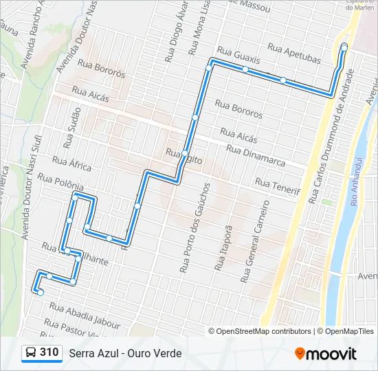 310 Bus Line Map