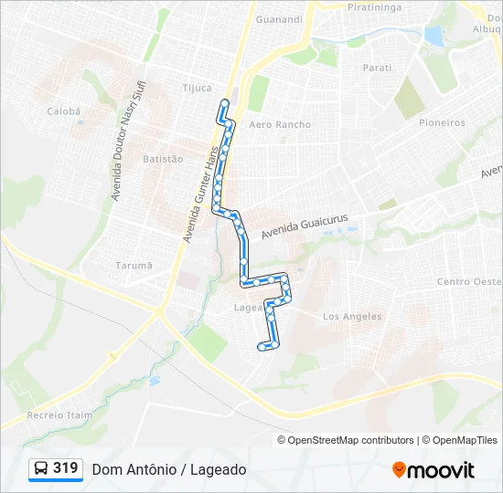 319 Bus Line Map