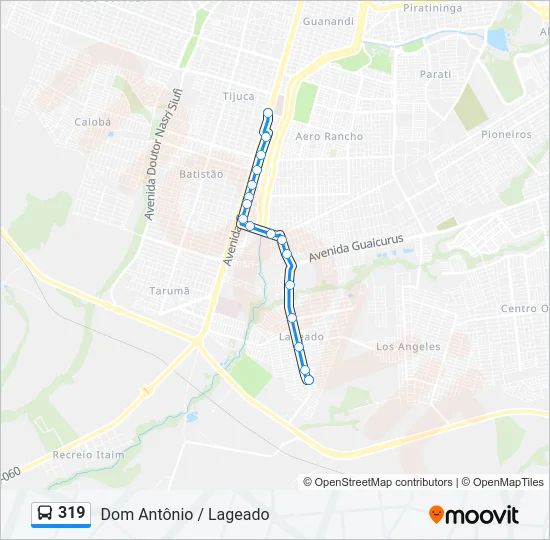 319 Bus Line Map