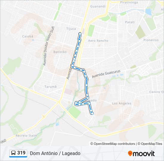 Mapa da linha 319 de ônibus