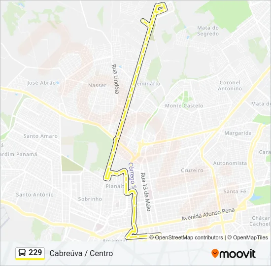 229 Bus Line Map