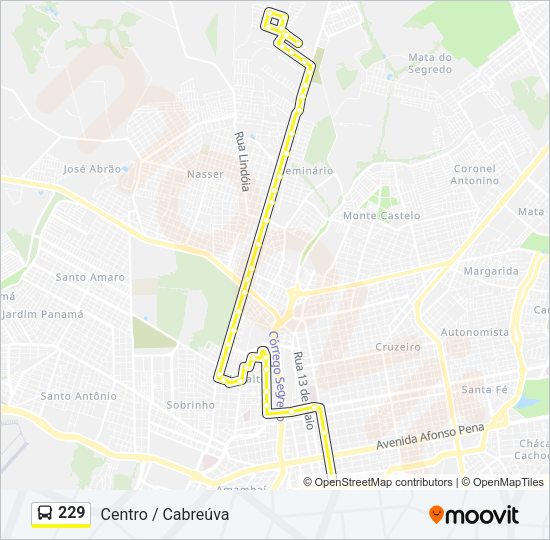 Mapa da linha 229 de ônibus