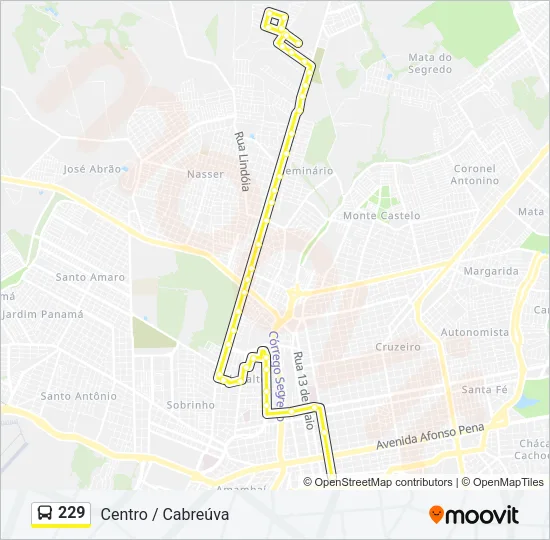 229 Bus Line Map