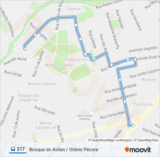 Mapa da linha 217 de ônibus