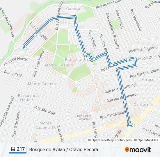 217 Bus Line Map