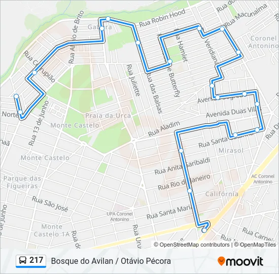 217 Bus Line Map