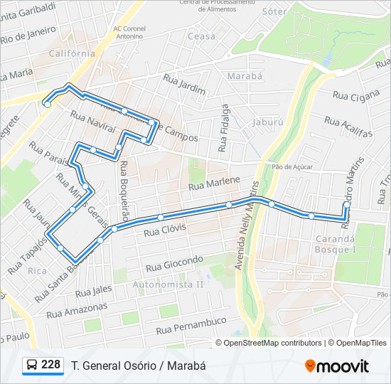 Mapa de 228 de autobús