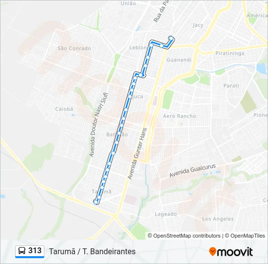 313 Bus Line Map