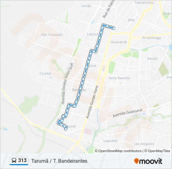 Mapa de 313 de autobús