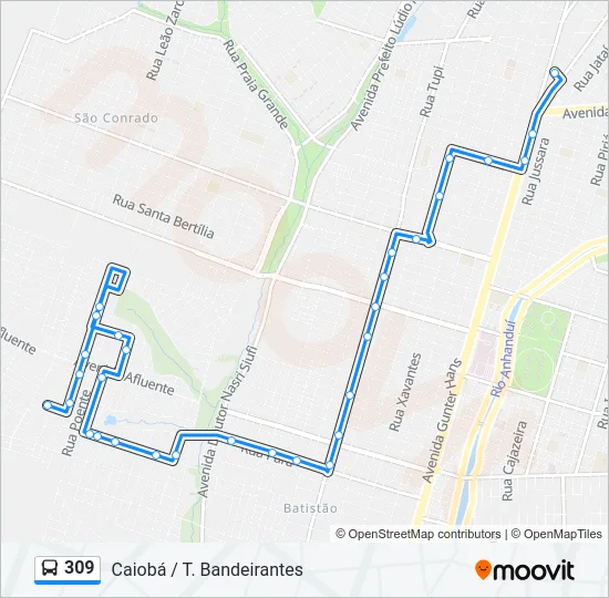 309 Bus Line Map