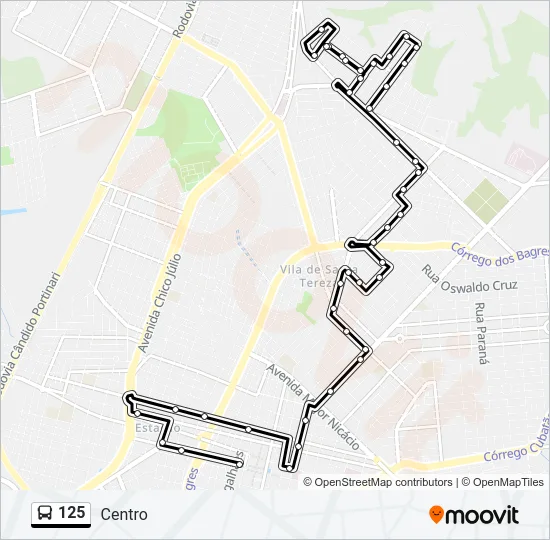 125 Bus Line Map