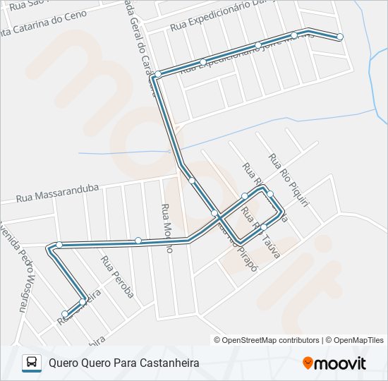 193 CASTANHEIRA bus Line Map