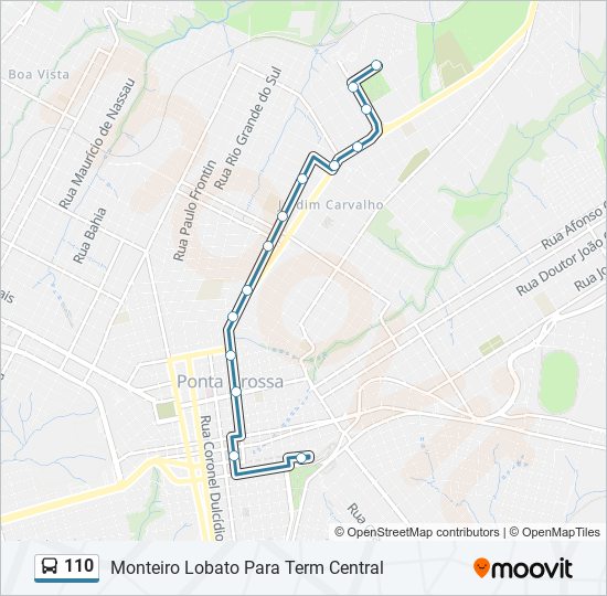 Mapa da linha 110 de ônibus