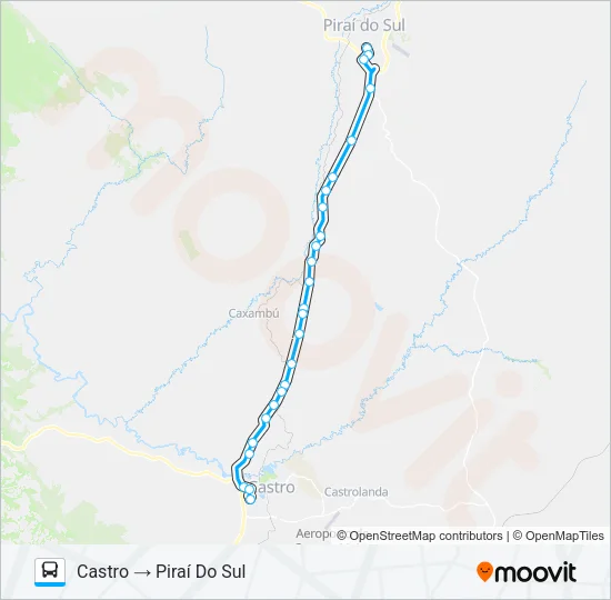 1006-440 CASTRO / PIRAÍ DO SUL Bus Line Map
