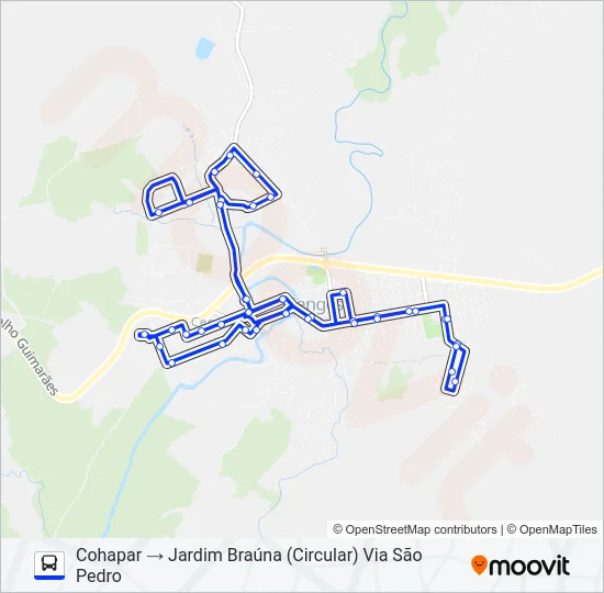 S01 CIRCULAR COHAPAR / JARDIM BRAÚNA Bus Line Map