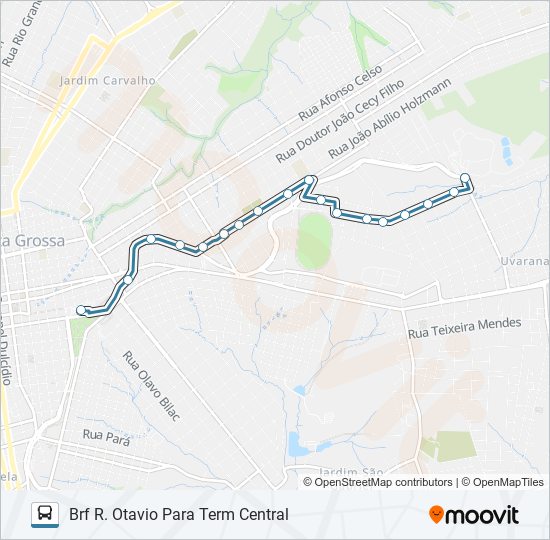 206 MARINA bus Line Map