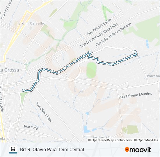 Mapa da linha 206 MARINA de ônibus