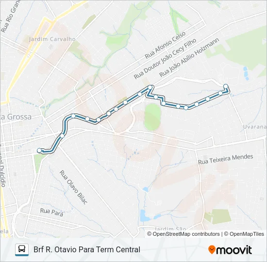 206 MARINA Bus Line Map