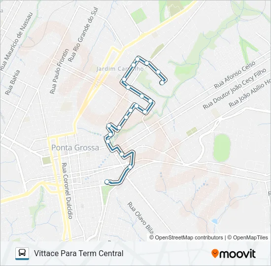 208 BARAUNA Bus Line Map