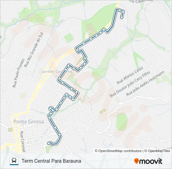 208 BARAUNA Bus Line Map