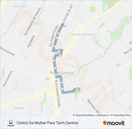 Mapa da linha 207 VILA LIANE de ônibus