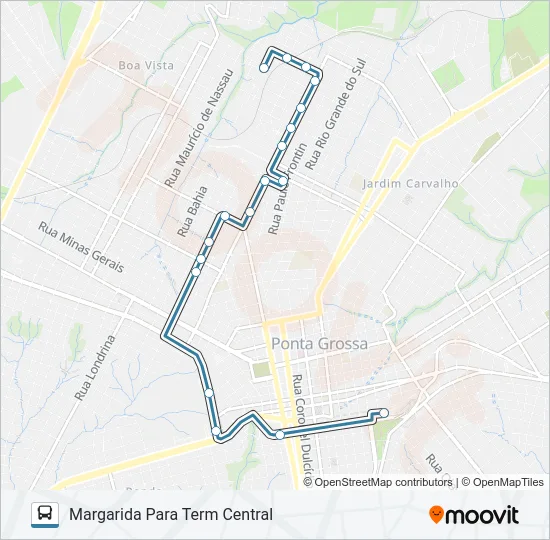 207 VILA LIANE Bus Line Map