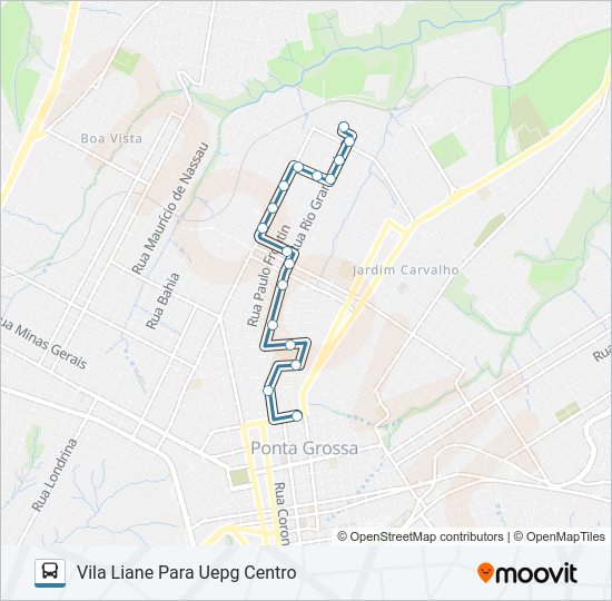 Mapa da linha 207 VILA LIANE de ônibus