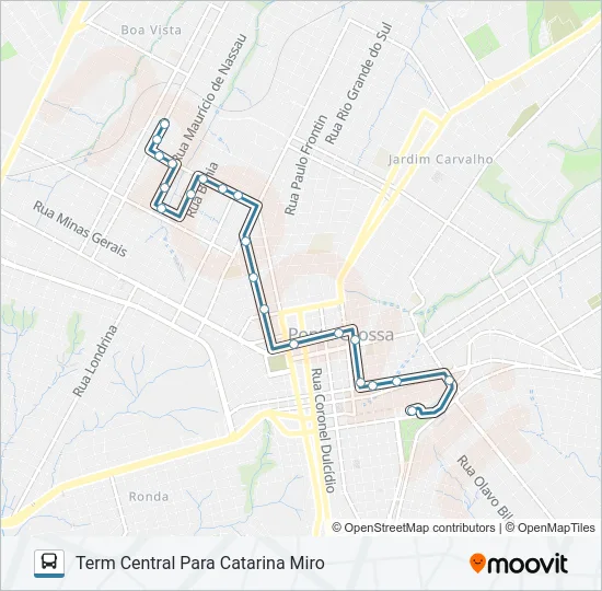 207 VILA LIANE Bus Line Map