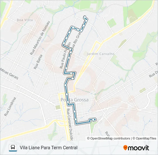 207 VILA LIANE Bus Line Map