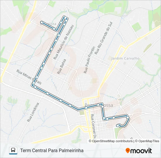 204 PALMEIRINHA Bus Line Map