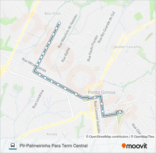 204 PALMEIRINHA Bus Line Map