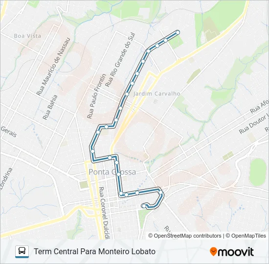 119 MONTEIRO LOBATO Bus Line Map