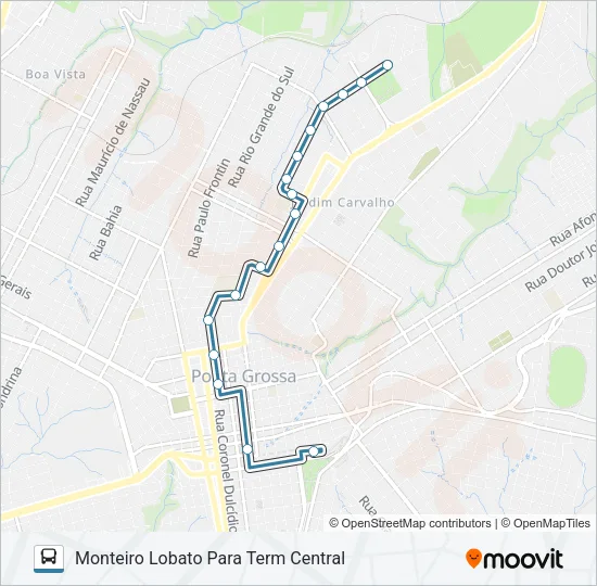 119 MONTEIRO LOBATO Bus Line Map
