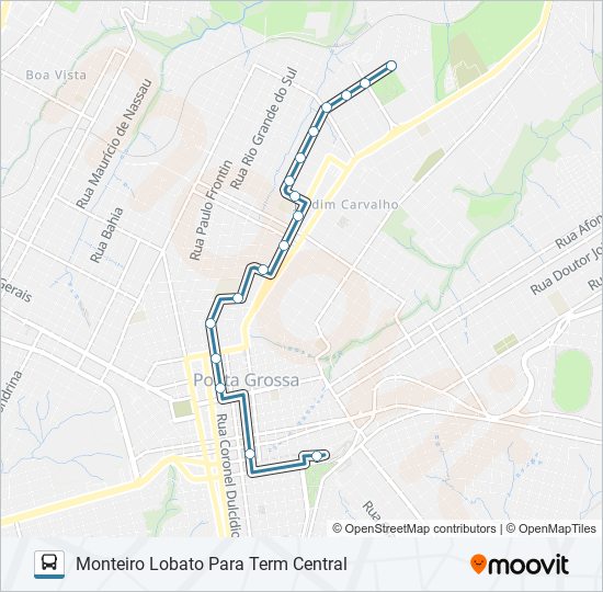 Mapa da linha 119 MONTEIRO LOBATO de ônibus