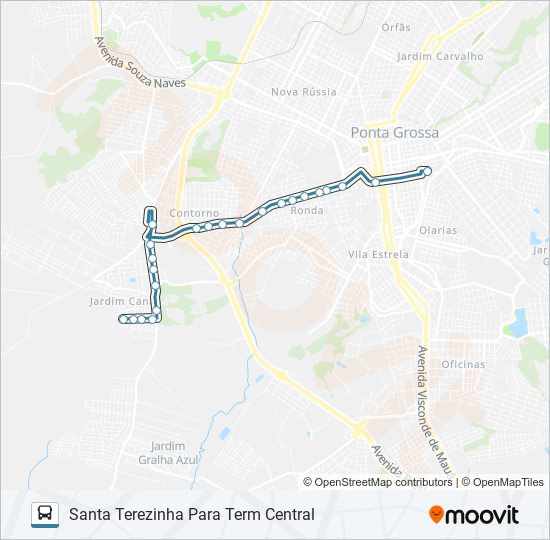 196 SANTA TEREZINHA bus Line Map