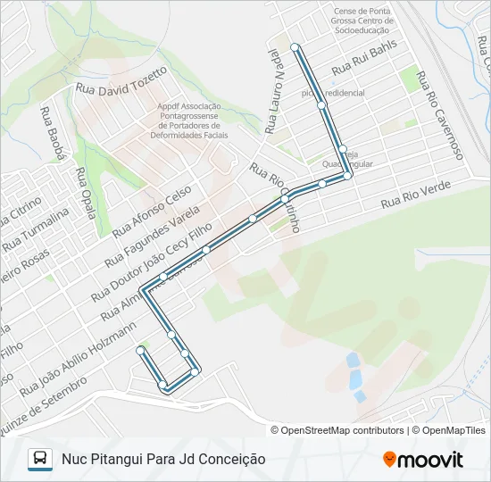 205 NUCLEO PITANGUI VIA RIO VERDE Bus Line Map