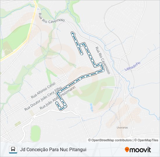 205 NUCLEO PITANGUI VIA RIO VERDE bus Line Map