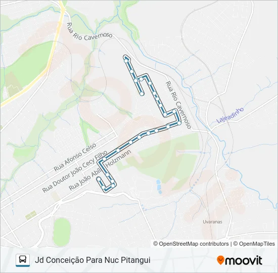 205 NUCLEO PITANGUI VIA RIO VERDE Bus Line Map