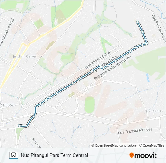 205 NUCLEO PITANGUI VIA RIO VERDE Bus Line Map