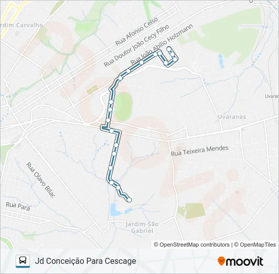202 PRINCESA - CORONEL CLAUDIO L1 Bus Line Map