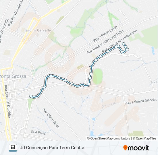 Mapa da linha 202 PRINCESA - CORONEL CLAUDIO L1 de ônibus